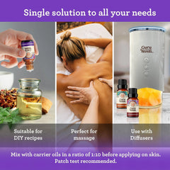 Sleep Essential Oils, 10 mL - 3-Pack
